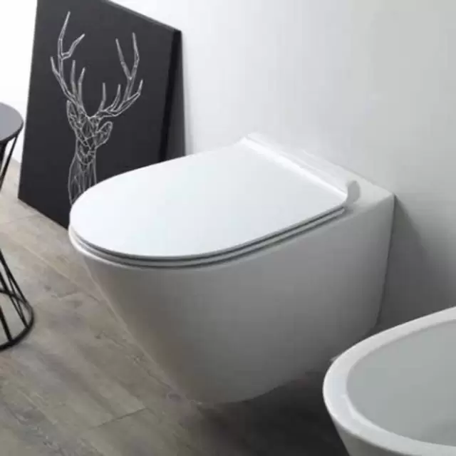 Simas Gambassi Унитаз  подвесной безободковый 56.5х37,5 см, цвет: белый