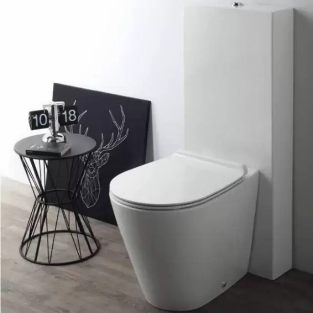 Simas Gambassi Унитаз приставной безободковый 56.5х37,5 см, цвет: белый  с бачком, цвет: белый/хром