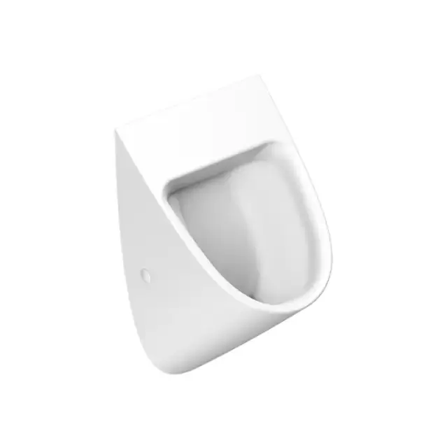 Catalano Писсуар 54x30см Rimless, без отв. под крышку, цвет: белый матовый