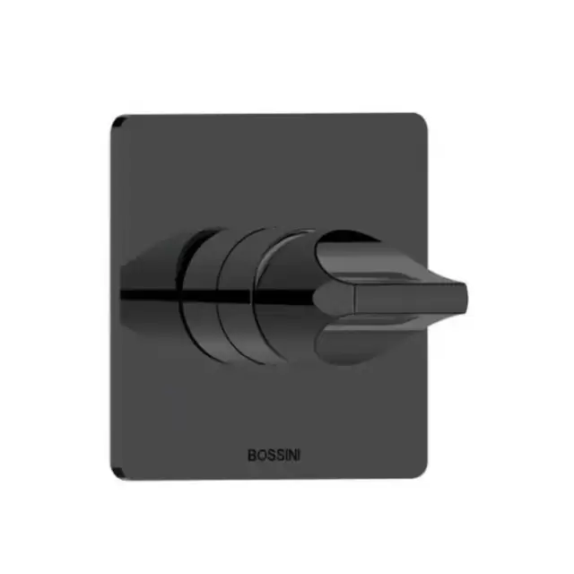 Bossini Apice Смеситель для душа, встраиваемый, цвет: черный матовый