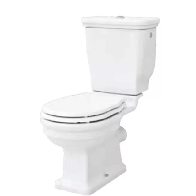 Artceram HERMITAGE унитаз моноблок 71х36см слив в стену с креплением, цвет: белый/золото