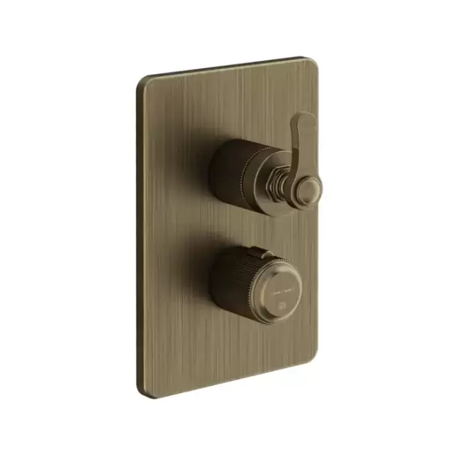 Gessi Venti20 Смеситель для душа, встраиваемый, термостатический, с переключателем на 2 положения, внешняя часть, цвет: Antique Brass