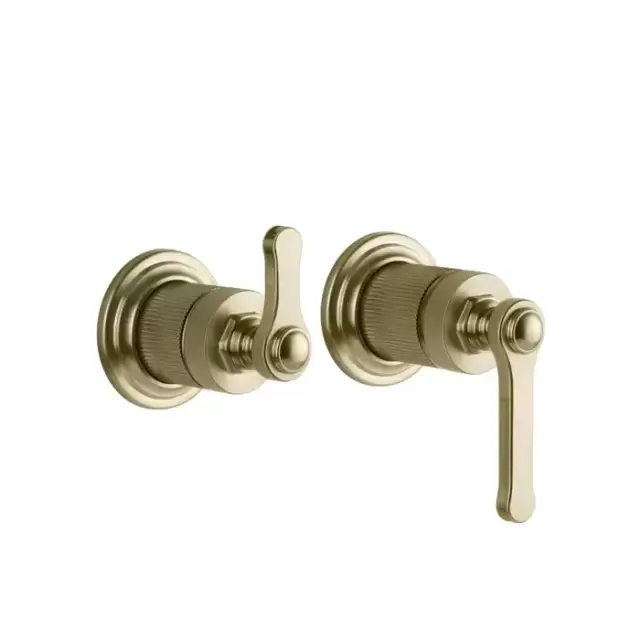 Gessi Venti20 Смеситель для душа, встраиваемый, с переключателем на 2 положения, внешняя часть, цвет: Brushed Brass PVD