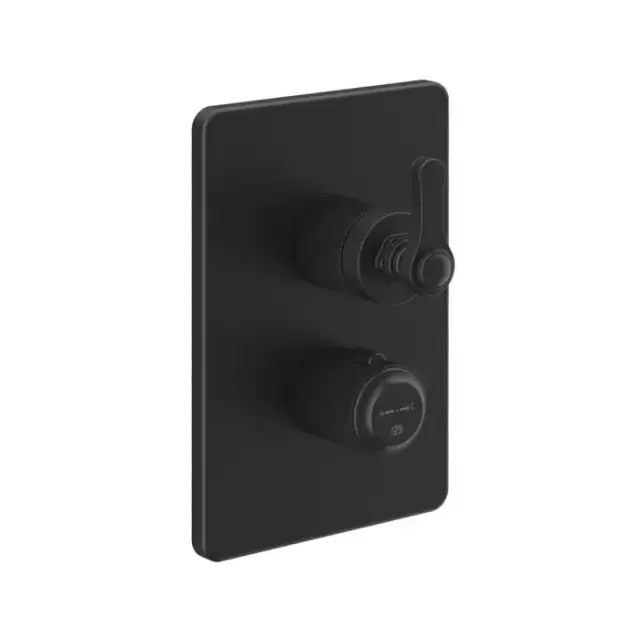 Gessi Venti20 Смеситель встраиваемый, термостатический, с переключателем на 2 положения, внешняя часть, цвет: черный