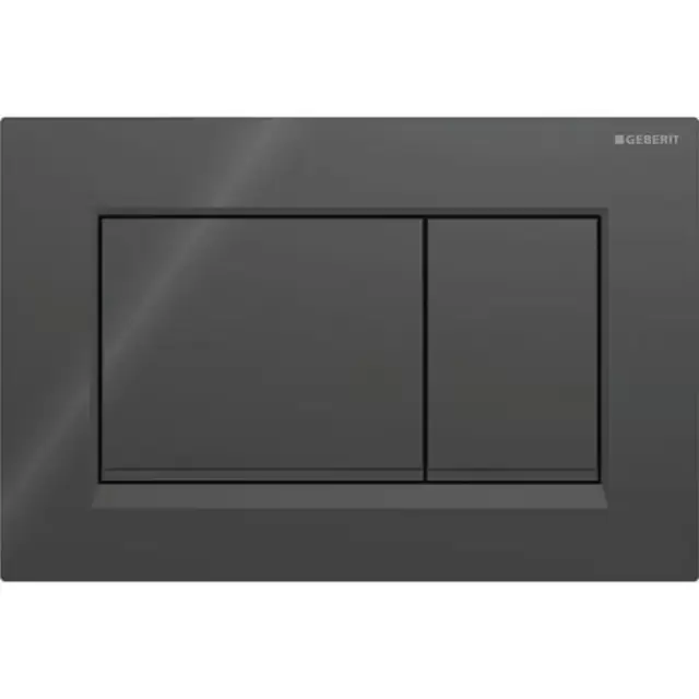 Geberit Sigma20 Клавиша для двойного смыва, квадратная, цвет: черный матовый