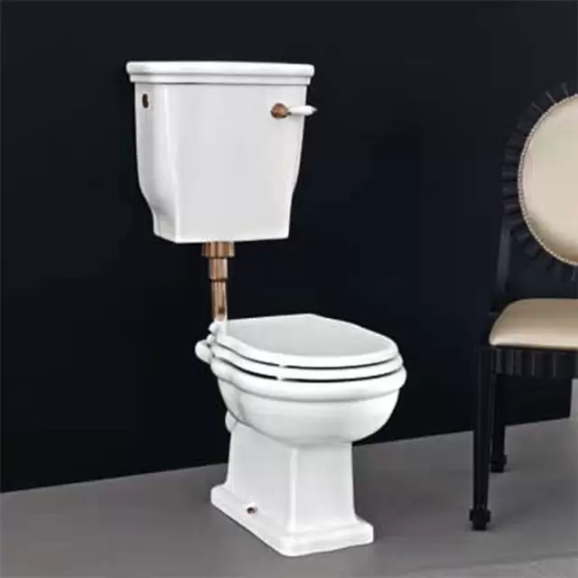 Artceram HERMITAGE Унитаз приставной слив в пол, 36х55см, с крепежом в комплекте, цвет: белый/бронза