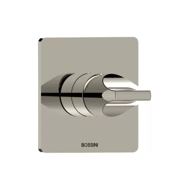 Bossini Apice Смеситель для душа, встраиваемый, цвет: брашированный никель