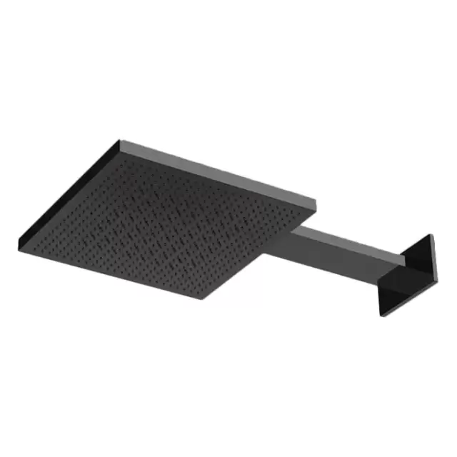 Almar Velvet Rain Верхний душ 30х30см., настенный, 2 режима, цвет: черный металл брашированный PVD