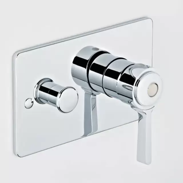 THG CAPUCINE VERT DECOR PLATINE Смеситель для душа встраиваемый, однорычажный, с переключателем, внешняя часть, декор платина, цвет: хром